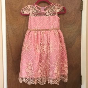 Beautiful Pink Princess Flower Girl Lace Dress